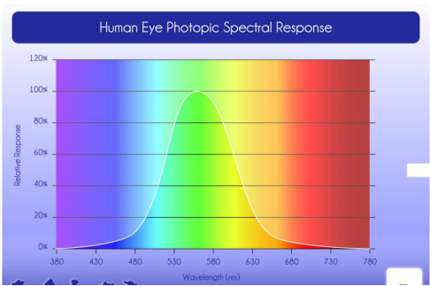 Visible Light Spectrum of Human and Chicken