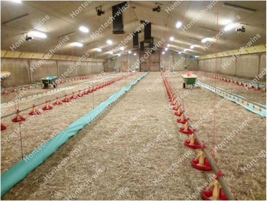 Why Farmers Prefer Hontech Poultry Lighting?