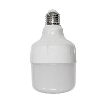 coop light bulbs