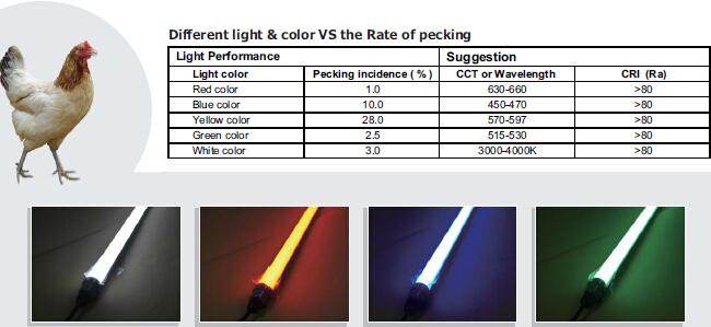 Why hontech-wins Light color for chicken is important?