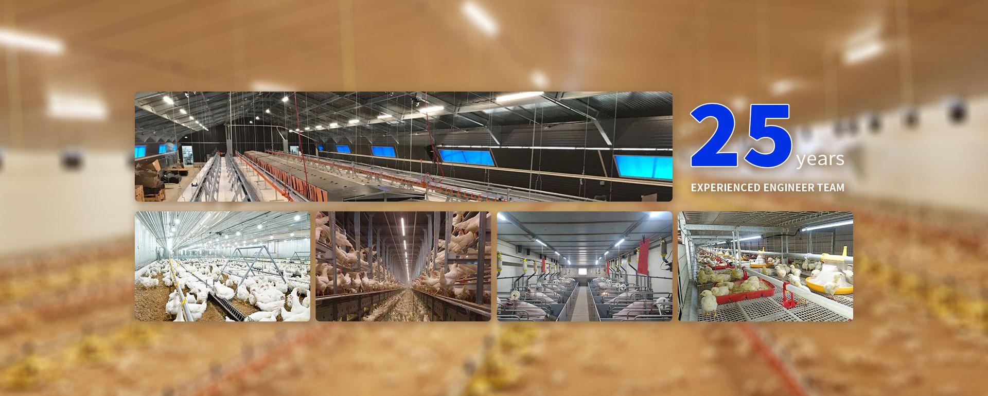 Poultry Lighting System Project