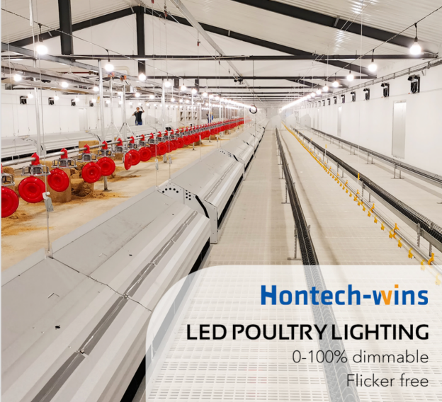 16 of 24 - 鸿远微思 - Why Choose LED Poultry Lighting Rather Than Incandescent Lamps in Poultry Farms2667.png