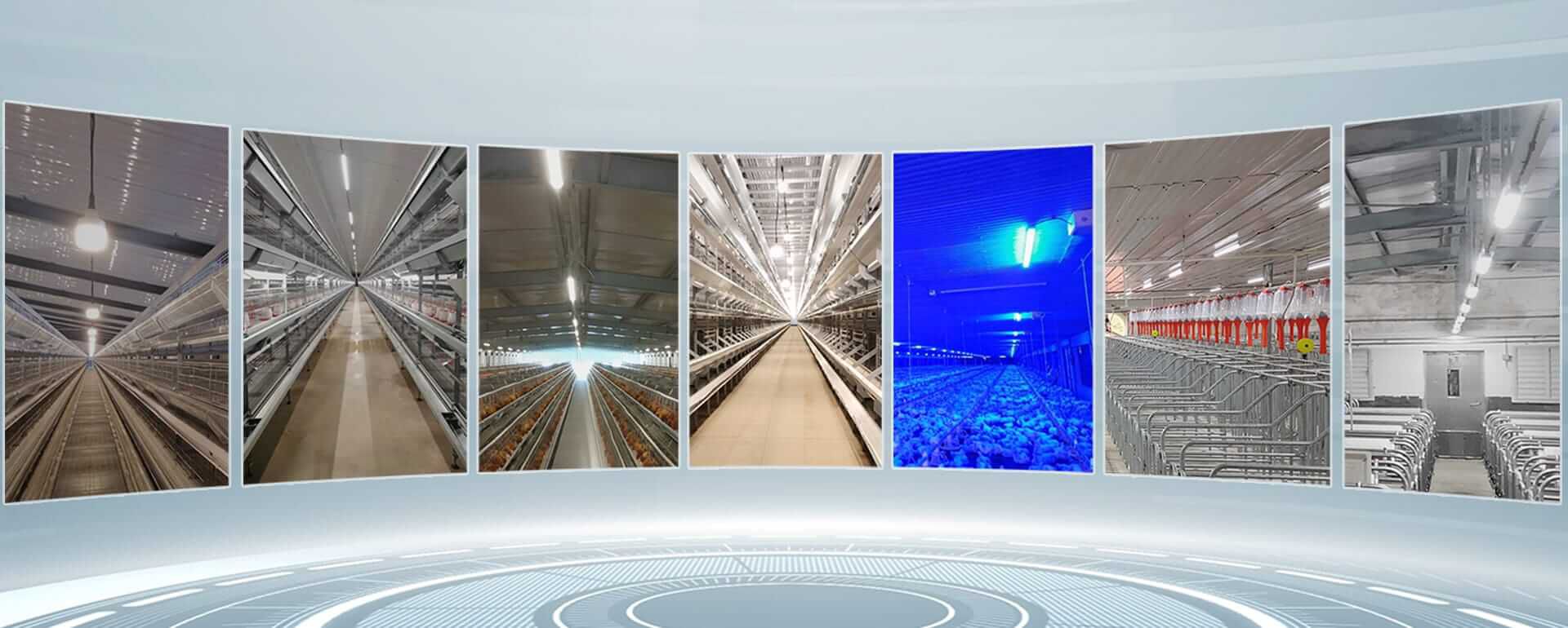 poultry lighting system