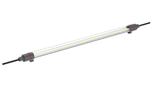 Importance of Mushroom Grow Lights